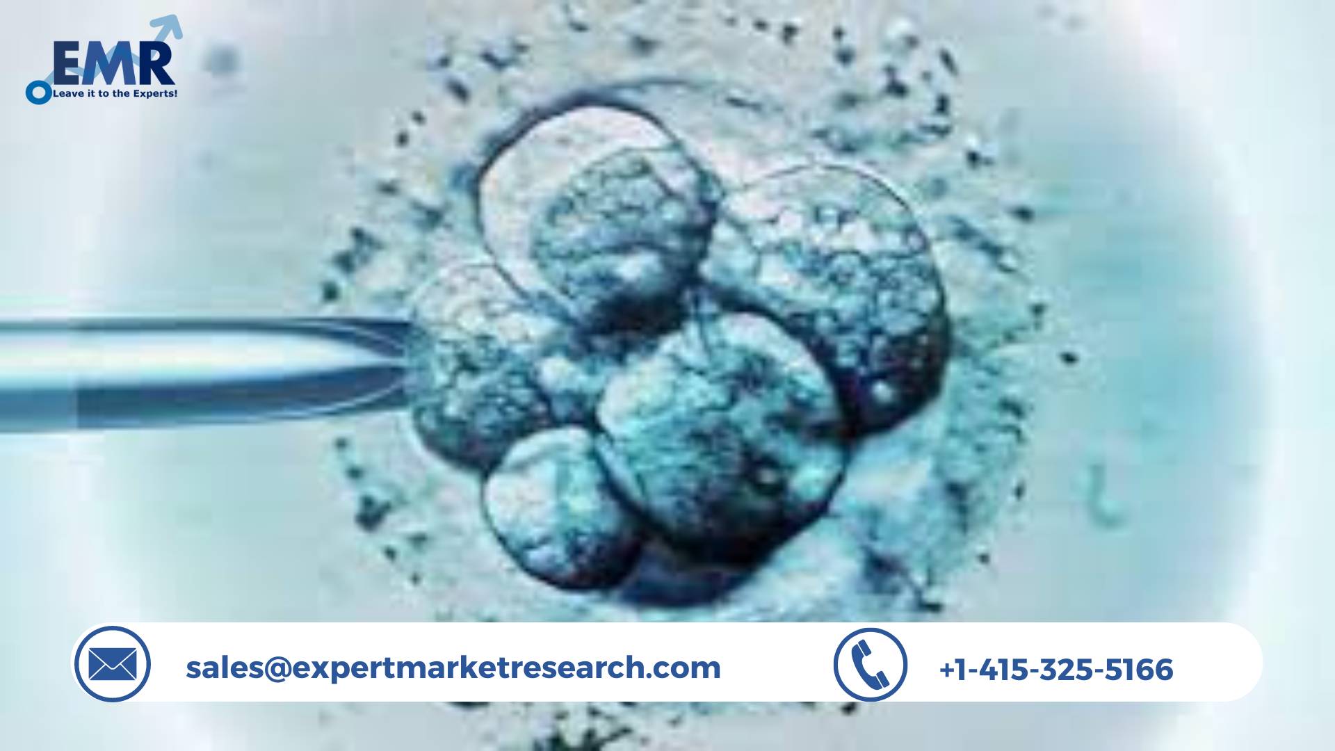 Human Embryonic Stem Cell Market Size