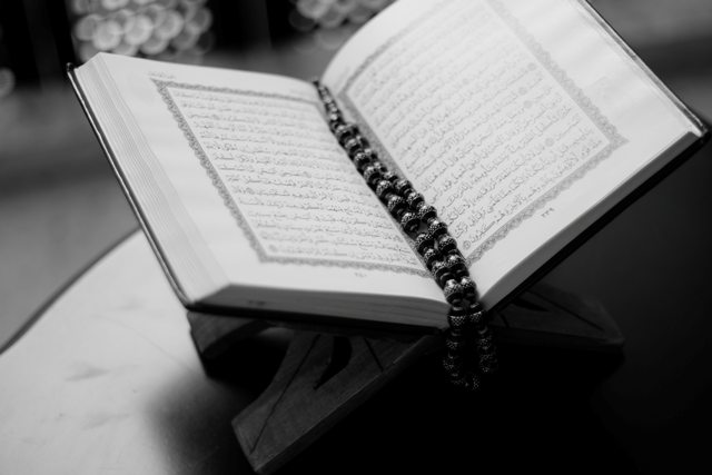 learn Quran translation course
